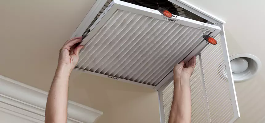 Preventive Cockroach-Proofing for Ducts in Woonsocket