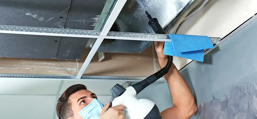 Our Air Duct Rodent Removal Services in Woonsocket, RI