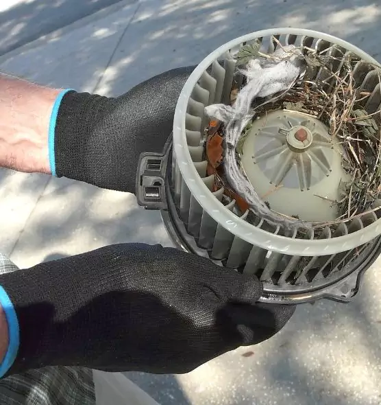 About Air Duct Rat Removal in Woonsocket, RI