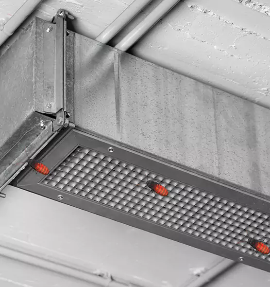 Affordable Insect Removal from Air Ducts in Woonsocket, RI
