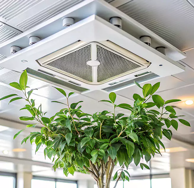 Why Homeowners & Businesses Trust Us in Woonsocket, RI